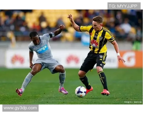 威灵顿凤凰与墨尔本胜利精彩对决比分直播全程跟踪分析