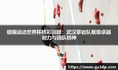 南宫NG体育APP